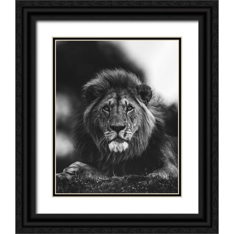 Ready Black Ornate Wood Framed Art Print with Double Matting by Sobhi, Ahmed