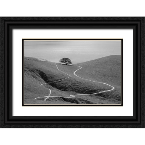 Lonely Tree Black Ornate Wood Framed Art Print with Double Matting by Mao, Yun