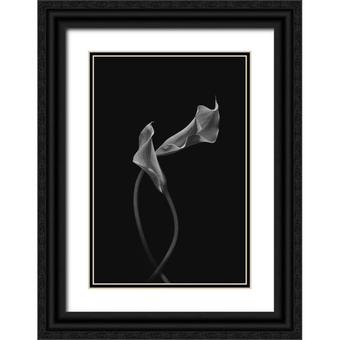 Two Loving Calla Lilies Black Ornate Wood Framed Art Print with Double Matting by Jacobs, Lydia