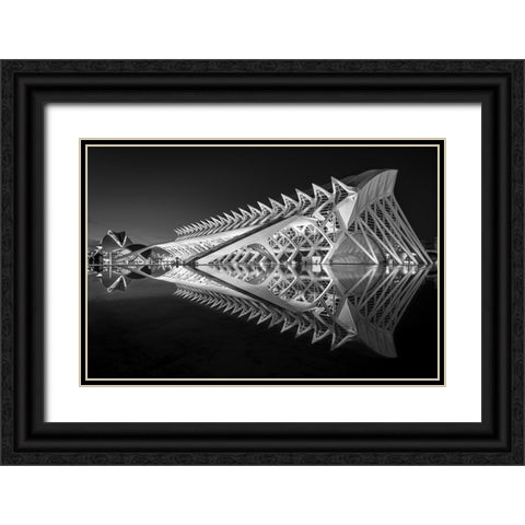 Exoskeleton Black Ornate Wood Framed Art Print with Double Matting by Silveira, Fernando
