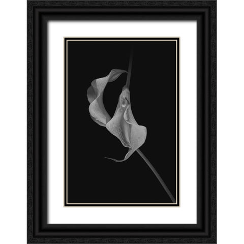 Close Talk Black Ornate Wood Framed Art Print with Double Matting by Jacobs, Lydia
