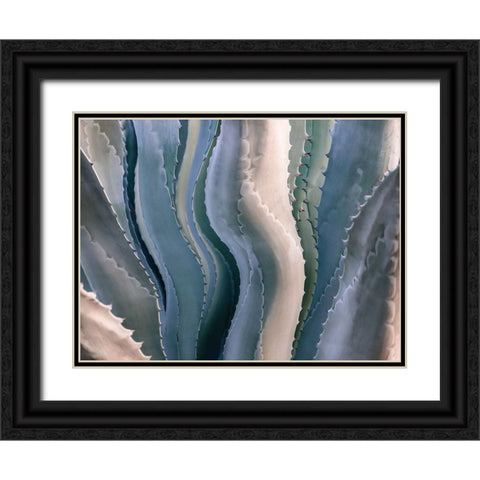 Sonoma Summertime Roadside Abstract Black Ornate Wood Framed Art Print with Double Matting by Wechsler, Robin