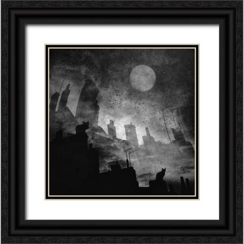 Black A White Cat Day... Black Ornate Wood Framed Art Print with Double Matting by Fabrowski, Robert