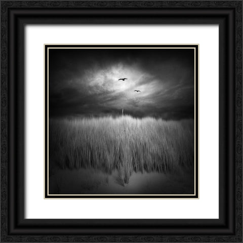 Marram Grass Black Ornate Wood Framed Art Print with Double Matting by Winkler, Jens