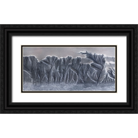 Earth Fissure Black Ornate Wood Framed Art Print with Double Matting by Cui, Yuan