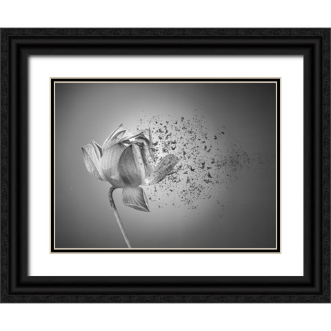 Flower Black Ornate Wood Framed Art Print with Double Matting by Lin, Lin