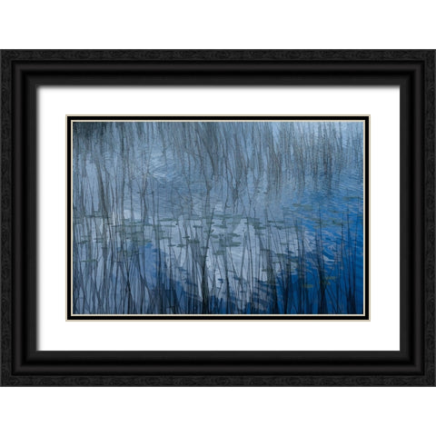 Abstract Riet Black Ornate Wood Framed Art Print with Double Matting by Bouhuijzen, Ina