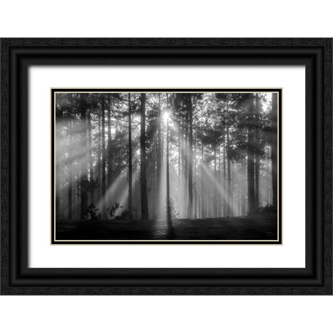 Light In The Snow Black Ornate Wood Framed Art Print with Double Matting by Alviani, Montserrat