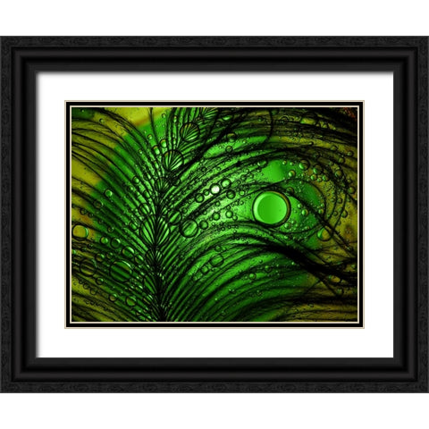 Feather Abstract Black Ornate Wood Framed Art Print with Double Matting by Lesica, Ivan