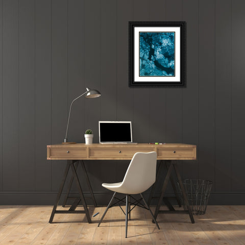 Ice Black Ornate Wood Framed Art Print with Double Matting by Ziomek, Witold