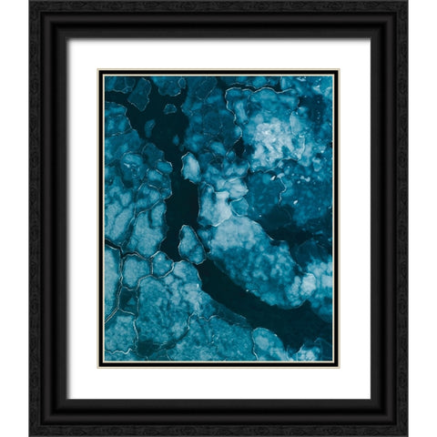 Ice Black Ornate Wood Framed Art Print with Double Matting by Ziomek, Witold
