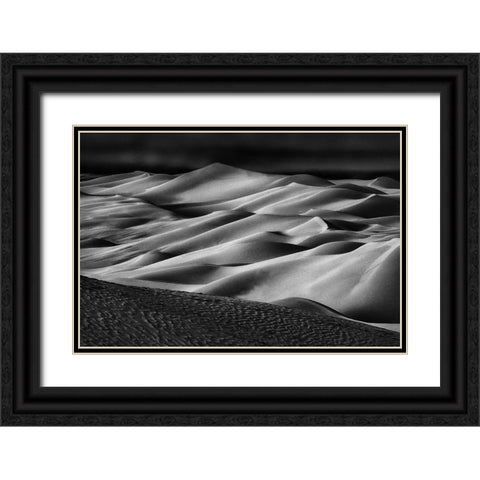 The Art Of Sand And Wind (2) Black Ornate Wood Framed Art Print with Double Matting by Qiu, Jenny