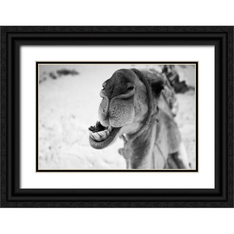dromedary Black Ornate Wood Framed Art Print with Double Matting by Borges Alves, Luis