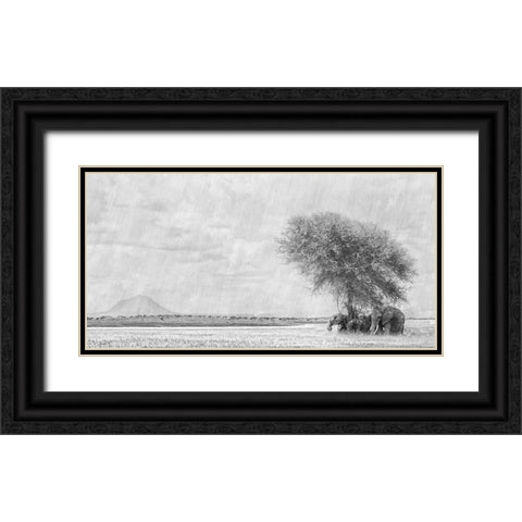 African Landscape Black Ornate Wood Framed Art Print with Double Matting by Henley, Nadine