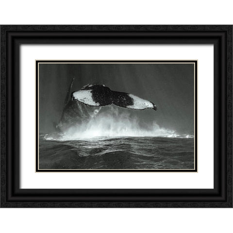 Tale Of Whales Black Ornate Wood Framed Art Print with Double Matting by Melesan, Serge