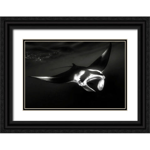 The Manta Black Ornate Wood Framed Art Print with Double Matting by Melesan, Serge