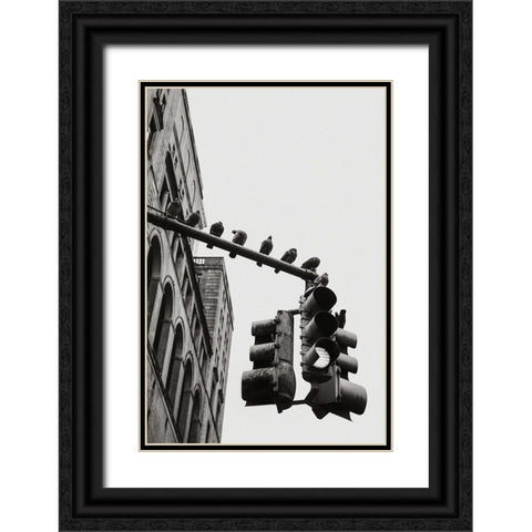 New York City Doves Black Ornate Wood Framed Art Print with Double Matting by Martin, Rikard