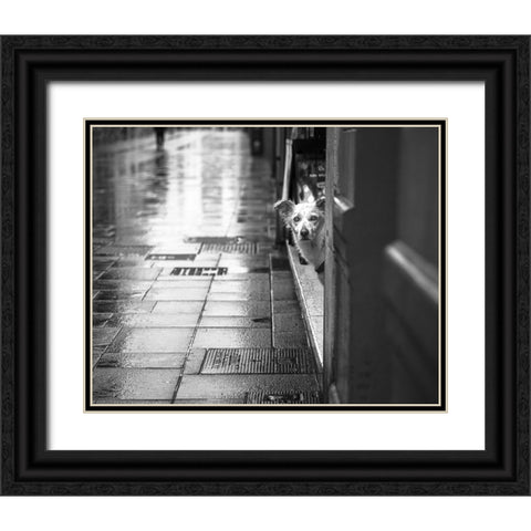 Rain Black Ornate Wood Framed Art Print with Double Matting by Alviani, Montserrat