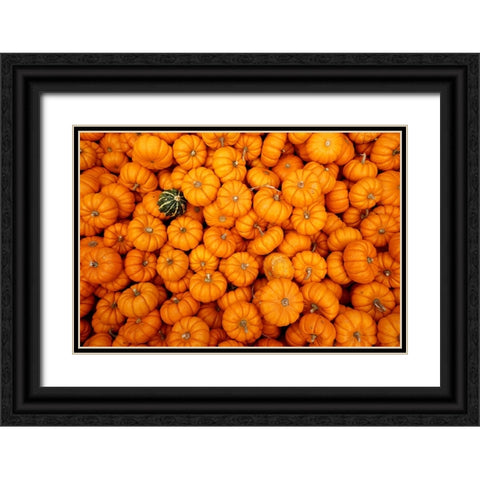 Dare to be Different Black Ornate Wood Framed Art Print with Double Matting by Ungvari, Rose