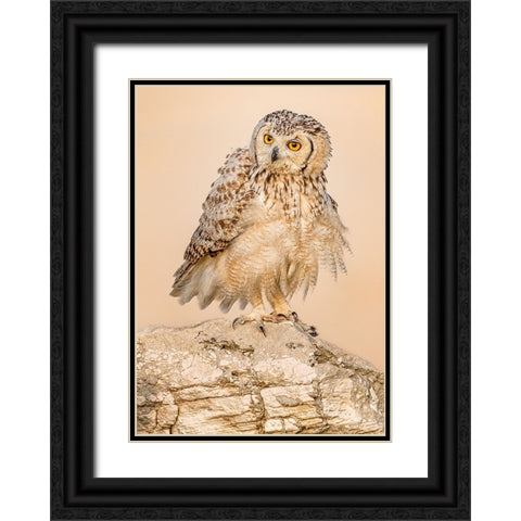 New Hair Cut.! Black Ornate Wood Framed Art Print with Double Matting by Elkahlawi, Ahmed