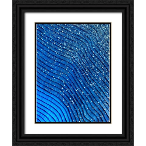 Star Light Star Bright Black Ornate Wood Framed Art Print with Double Matting by Mann, Tara