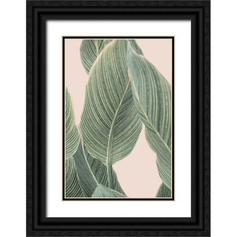 Calla Leaf Black Ornate Wood Framed Art Print with Double Matting by Pienaar, Kathrin