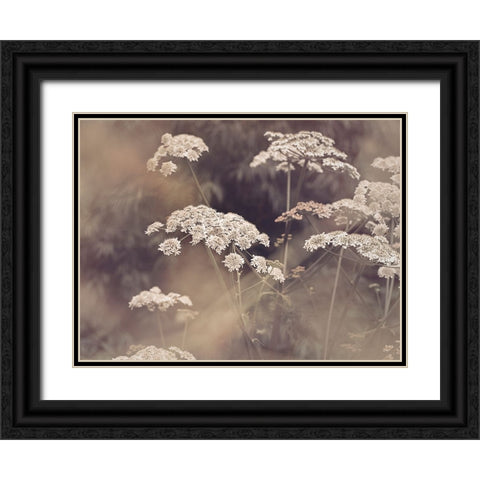 Wild Parsley Black Ornate Wood Framed Art Print with Double Matting by Pienaar, Kathrin