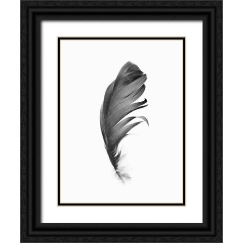Feather Black Ornate Wood Framed Art Print with Double Matting by Pienaar, Kathrin