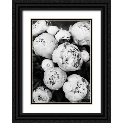Peonies Black Ornate Wood Framed Art Print with Double Matting by Pienaar, Kathrin