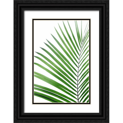 Green Palm Leaf Black Ornate Wood Framed Art Print with Double Matting by Pienaar, Kathrin