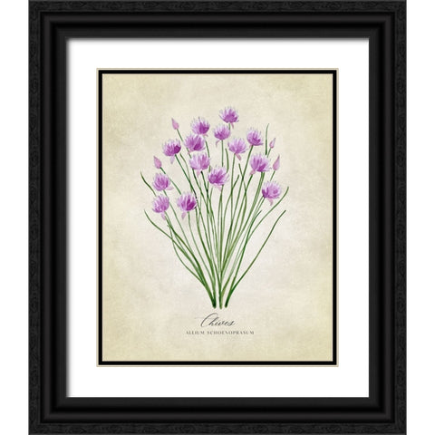 Chives vintage Black Ornate Wood Framed Art Print with Double Matting by Laiz Blursbyai, Rosana