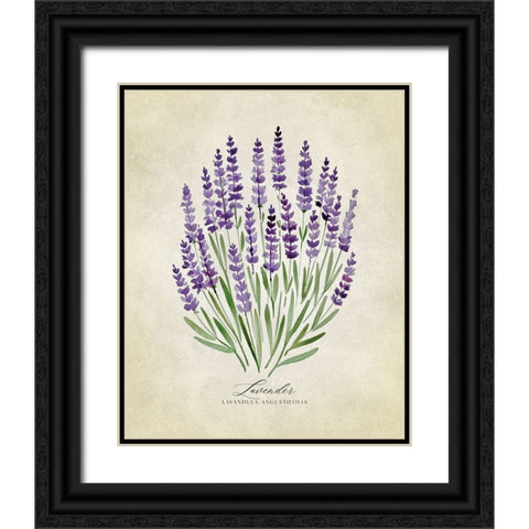 Lavender vintage Black Ornate Wood Framed Art Print with Double Matting by Laiz Blursbyai, Rosana