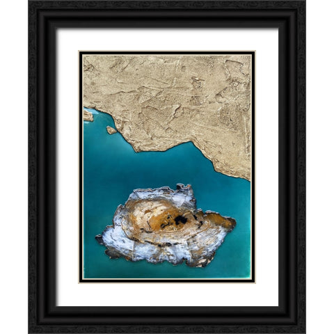 Elemental Earth Black Ornate Wood Framed Art Print with Double Matting by Storms, Alyson