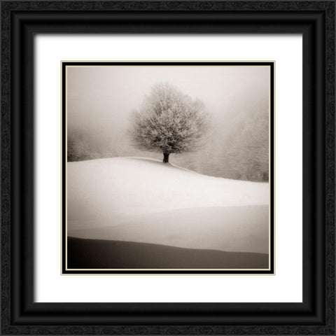 Winter Degradee Black Ornate Wood Framed Art Print with Double Matting by SC