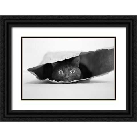 Cat In A Bag Black Ornate Wood Framed Art Print with Double Matting by Holthuysen, Jeremy
