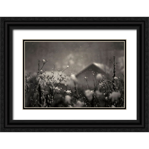 Winter Story Black Ornate Wood Framed Art Print with Double Matting by PhotoCosma