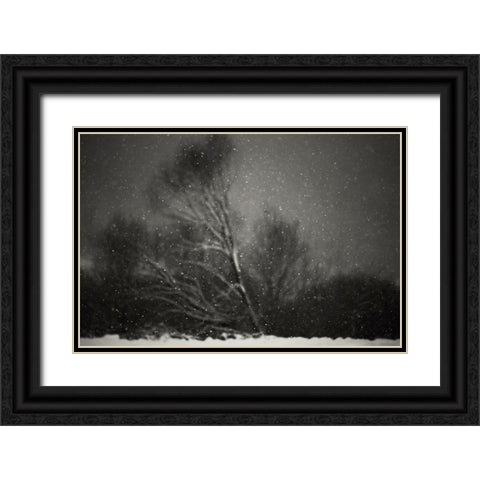 Winter Black Ornate Wood Framed Art Print with Double Matting by PhotoCosma