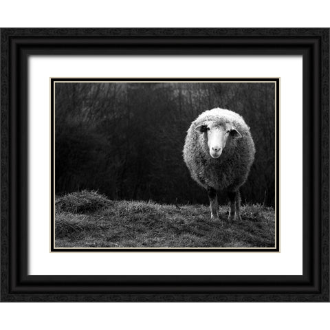 Wondering Sheep Black Ornate Wood Framed Art Print with Double Matting by Ajven