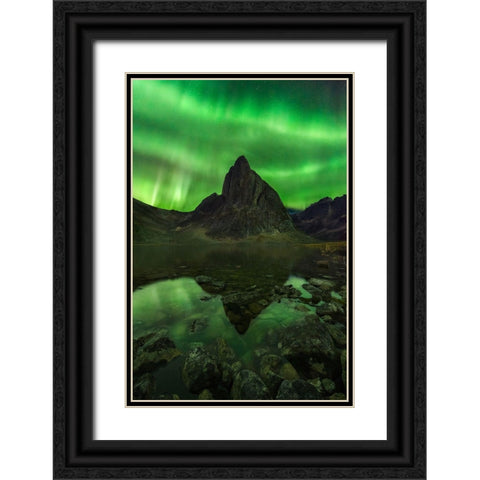 Blaze Of Beauty Black Ornate Wood Framed Art Print with Double Matting by Moore, Chris