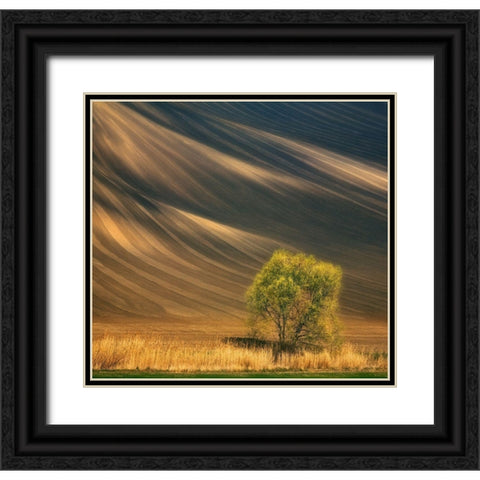 Tree... Black Ornate Wood Framed Art Print with Double Matting by Browko, Krzysztof