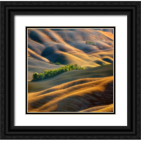 Fields Black Ornate Wood Framed Art Print with Double Matting by Browko, Krzysztof