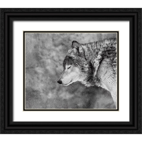 Let It Snow Black Ornate Wood Framed Art Print with Double Matting by Ivanova, Victoria