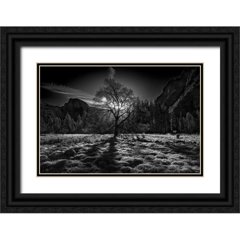 The Winter Spirit Black Ornate Wood Framed Art Print with Double Matting by Chenglu, Simon
