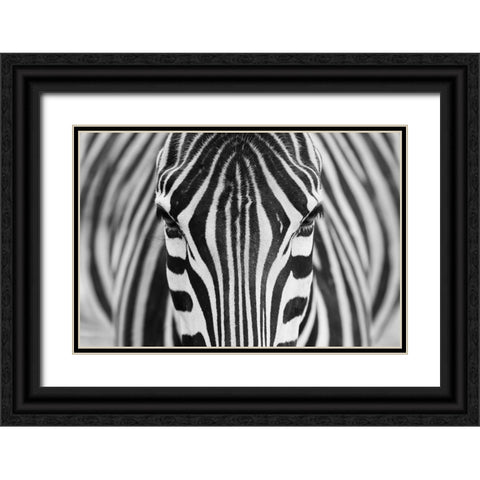 Zepra Black Ornate Wood Framed Art Print with Double Matting by Alhumaid, Hesham