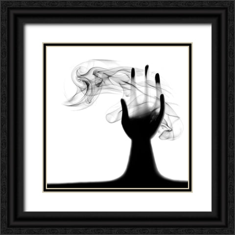*** Black Ornate Wood Framed Art Print with Double Matting by Ikaunieks, Roberts