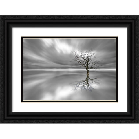 Ghost Tree Black Ornate Wood Framed Art Print with Double Matting by Londal, Leif