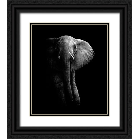 Elephant! Black Ornate Wood Framed Art Print with Double Matting by Wildphotoart
