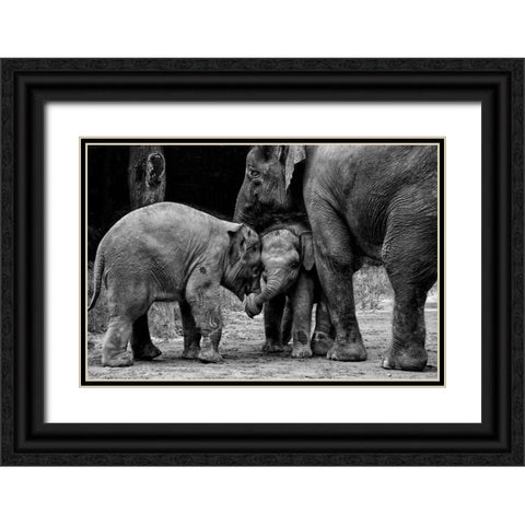 Friends Forever Black Ornate Wood Framed Art Print with Double Matting by Rex, Ernest