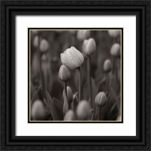 A Hug Black Ornate Wood Framed Art Print with Double Matting by Pajic, Samir