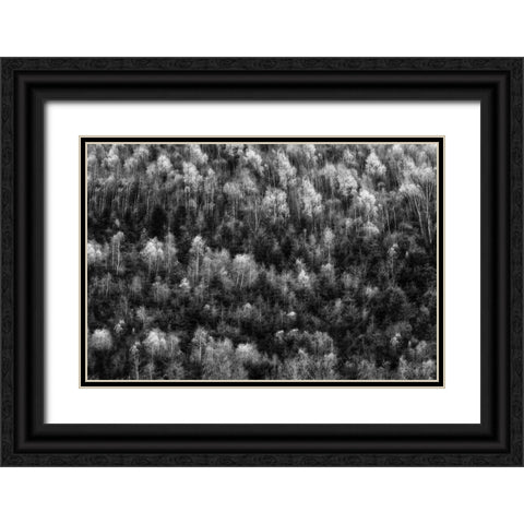Untitled Black Ornate Wood Framed Art Print with Double Matting by Ghesquiere, Hilde